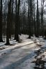 Файл=IMG_4245.JPG
Объём=172КБ
Размеры=533x800
Дата=Март 23, 2007 IMG_4245.JPG