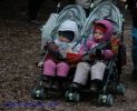 IMG_6776.JPG