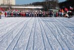 IMG_6880.jpg