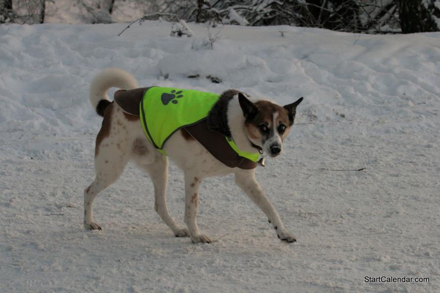 Нажмите, чтобы посмотреть в полный размер