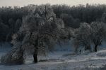 Файл=IMG_9594.jpg
Объём=171КБ
Размеры=1200x800
Дата=Янв 04, 2011 IMG_9594.jpg