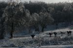 Файл=IMG_9624.jpg
Объём=181КБ
Размеры=1200x800
Дата=Янв 04, 2011 IMG_9624.jpg
