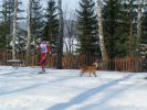Файл=PICT8161.JPG
Объём=1428КБ
Размеры=2048x1536
Дата=Апр 11, 2005 PICT8161.JPG