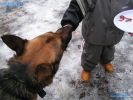 Файл=PICT5162.JPG
Объём=206КБ
Размеры=800x600
Дата=Апр 12, 2006 PICT5162.JPG