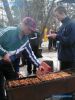 Файл=PICT5177.JPG
Объём=107КБ
Размеры=450x600
Дата=Апр 12, 2006 PICT5177.JPG