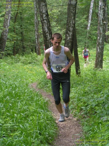 点选图片以查看原图