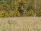 Filename=PICT1807.JPG
Filesize=249KB
Dimensions=800x600
Date added=Oct 01, 2005 PICT1807.JPG